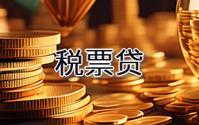 五家渠税票贷